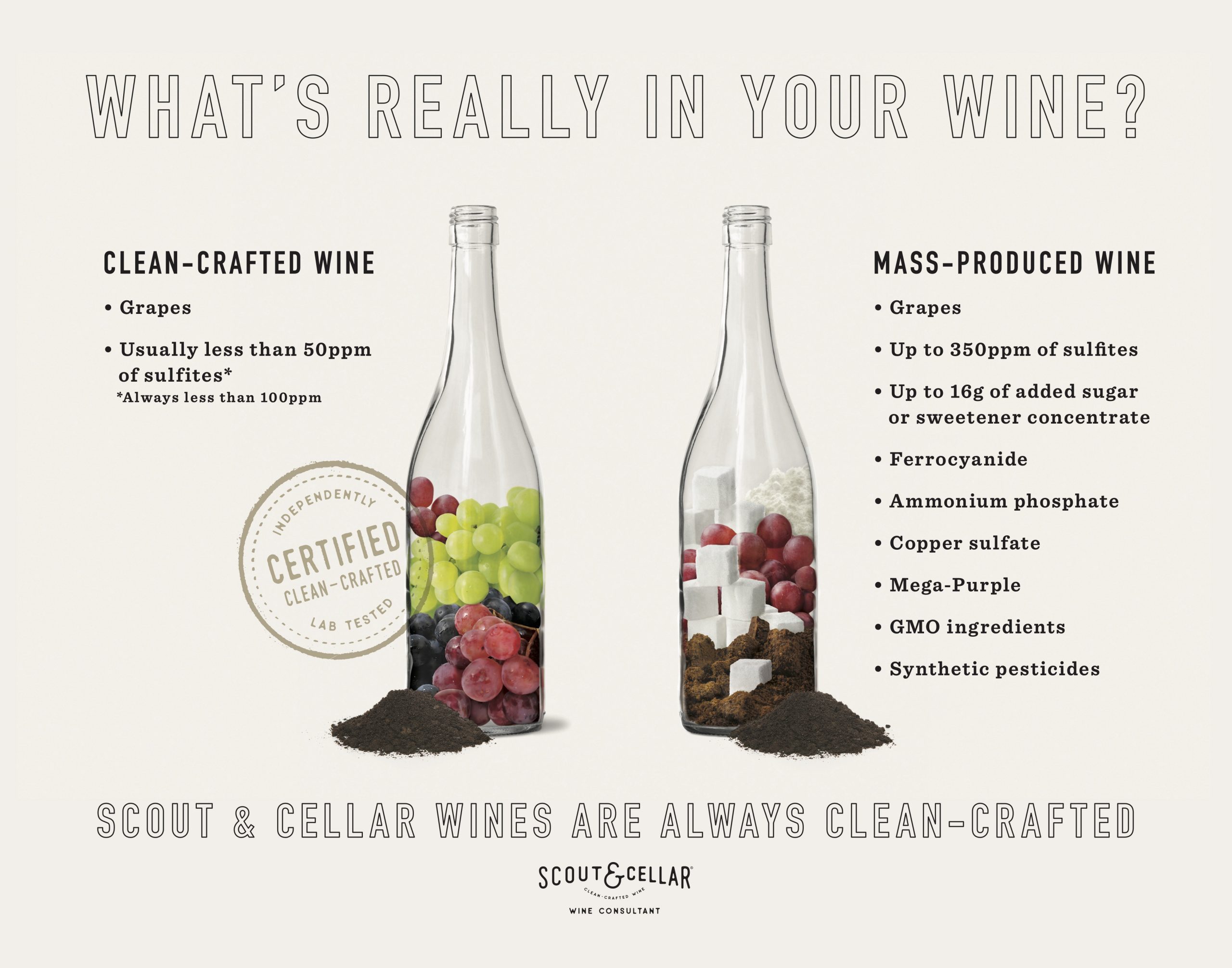 Gifts That Give Back Scout and Cellar Wines Operation Hope of Fairfield