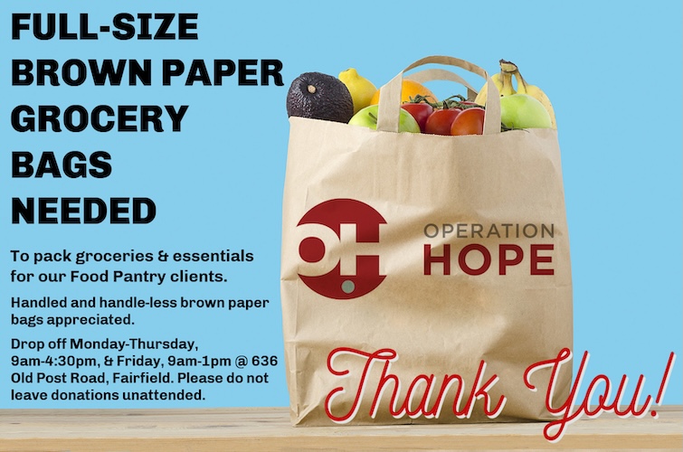 In Need of Full-Size Paper Grocery Bags for Pantry Clients